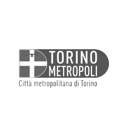 citt-metropolitana-torino